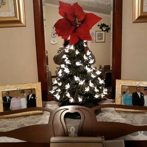 Meet your Posher, Terry